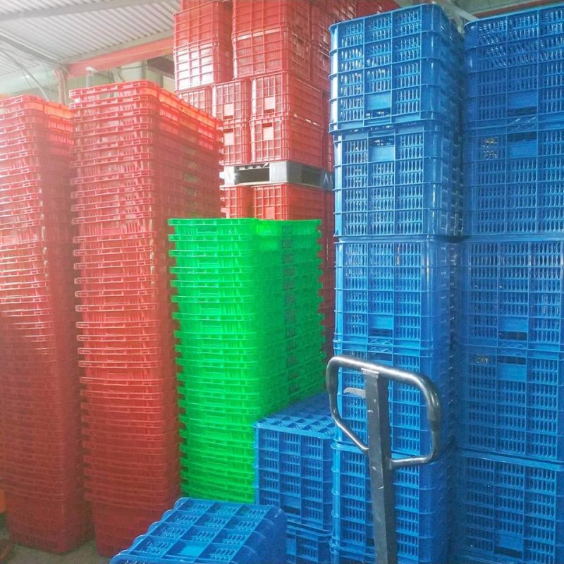 Pallet Nhựa Việt Xanh, thùng nhựa, khay nhựa, tấm lót nhựa