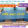 Pallet nhựa mặt liền 1200x1000x120mm