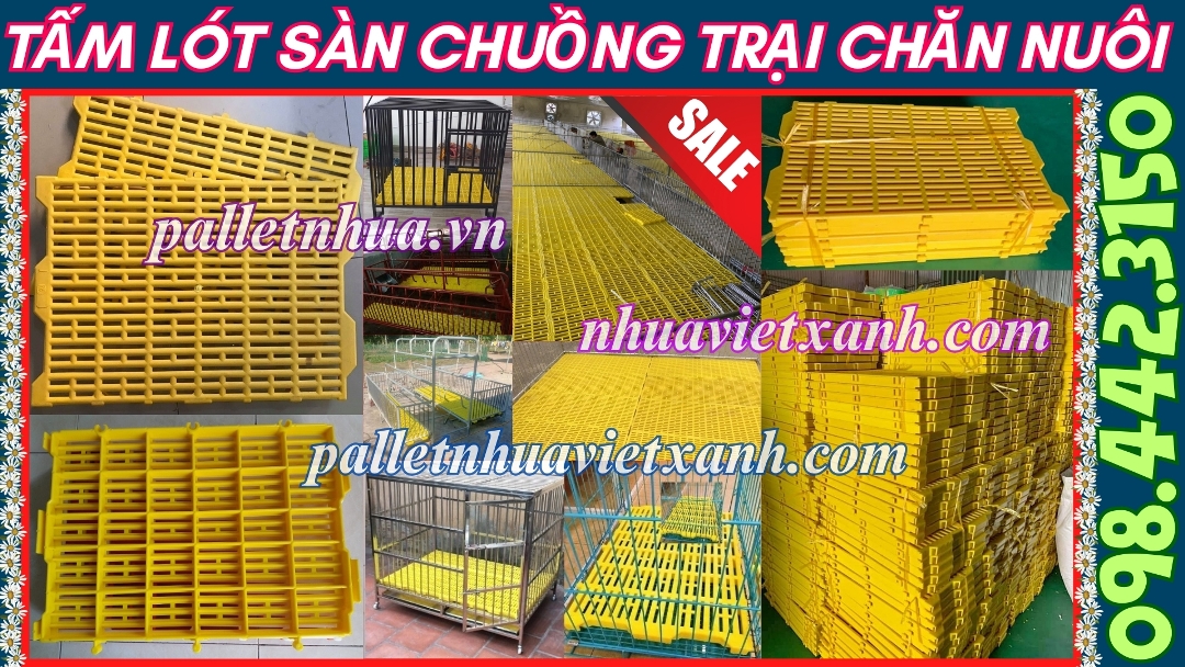 Pallet Nhựa Việt Xanh, thùng nhựa, khay nhựa, tấm lót nhựa