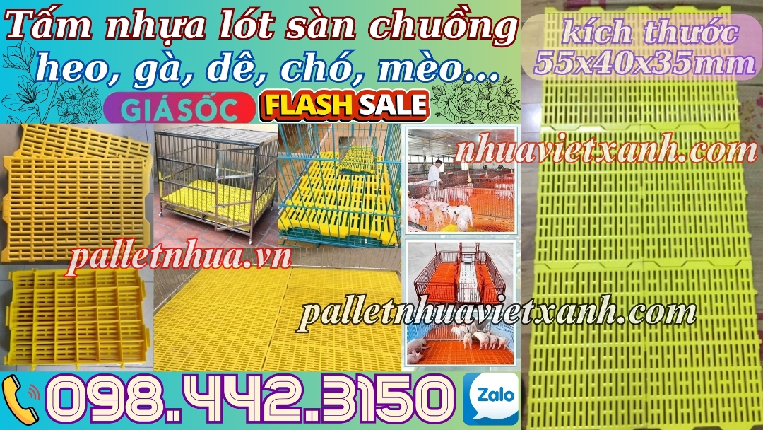 Pallet Nhựa Việt Xanh, thùng nhựa, khay nhựa, tấm lót nhựa