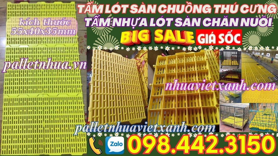 Pallet Nhựa Việt Xanh, thùng nhựa, khay nhựa, tấm lót nhựa
