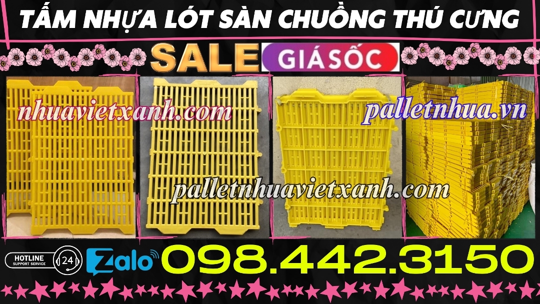 Pallet Nhựa Việt Xanh, thùng nhựa, khay nhựa, tấm lót nhựa