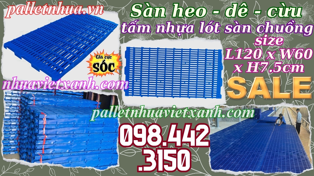 Pallet Nhựa Việt Xanh, thùng nhựa, khay nhựa, tấm lót nhựa