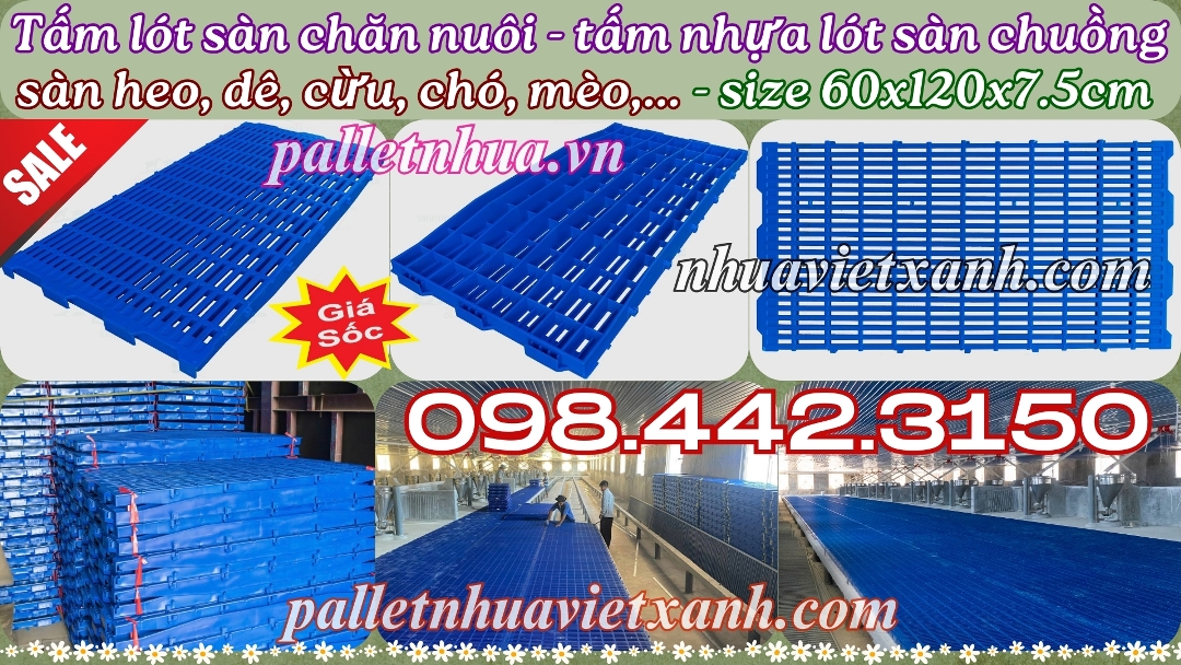 Pallet Nhựa Việt Xanh, thùng nhựa, khay nhựa, tấm lót nhựa