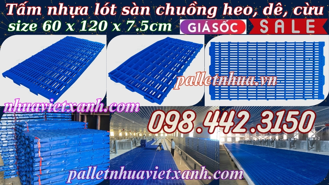 Pallet Nhựa Việt Xanh, thùng nhựa, khay nhựa, tấm lót nhựa