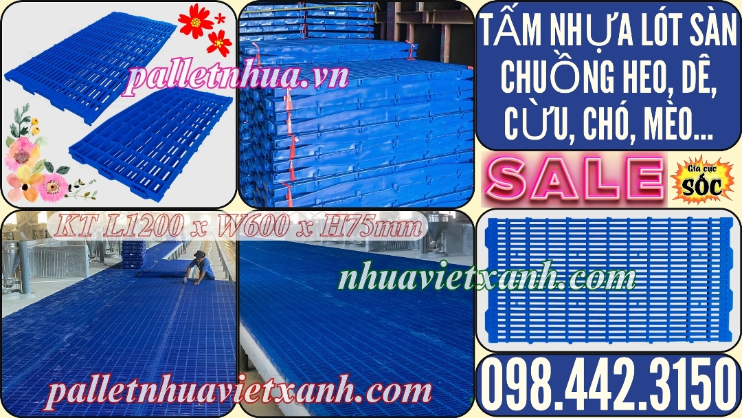 Pallet Nhựa Việt Xanh, thùng nhựa, khay nhựa, tấm lót nhựa