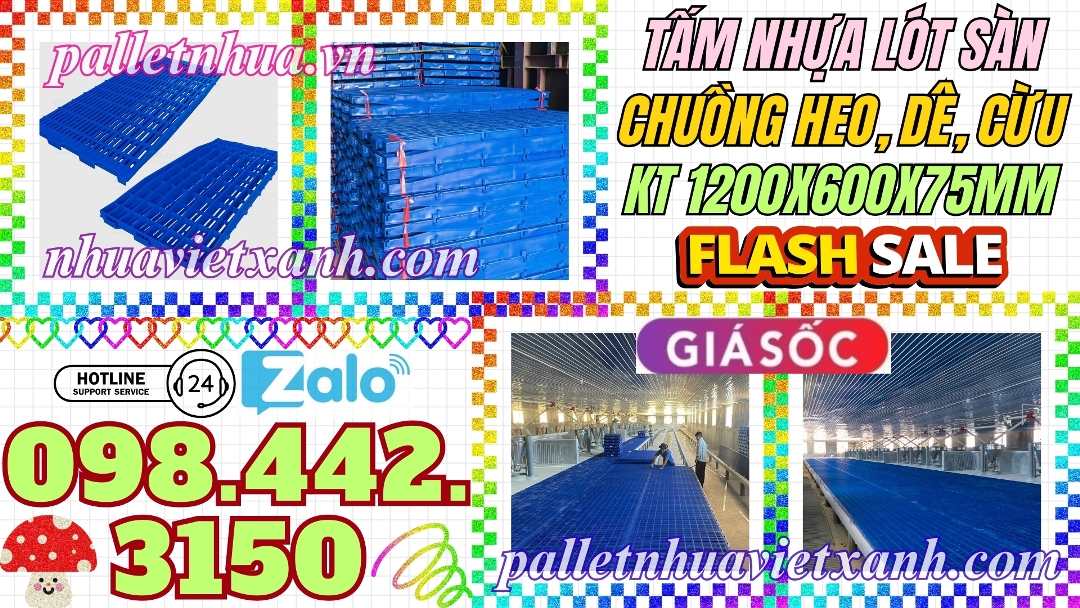 Pallet Nhựa Việt Xanh, thùng nhựa, khay nhựa, tấm lót nhựa